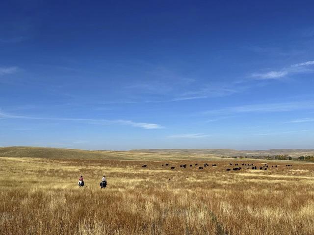 The outside pressures that have loomed over the cattle market haven&#039;t gone anywhere, but with Monday&#039;s stronger close, cattlemen are wondering if the market is ready to trade higher. (DTN photo by ShayLe Stewart)