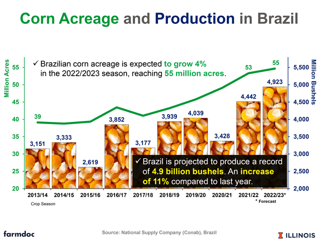 Robusta harvest advances in the main producer regions of Brazil