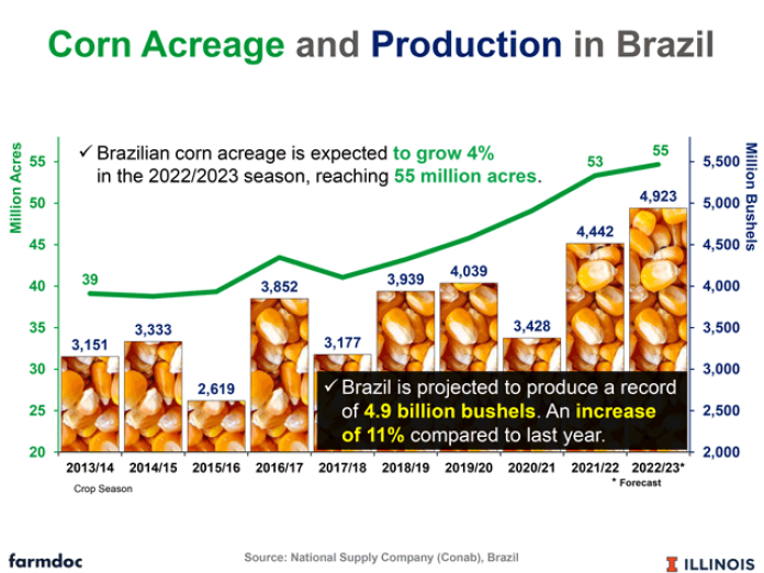 Grain Trade Becoming More Digitized, Agro.Club Expands B2B Grain  Marketplace Into Brazil