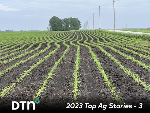 A good start to planting helped the corn crop hang on when many parts of the country got thirsty in May and June. (DTN photo by Pamela Smith)