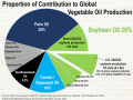 South American crops (from Brazil, Argentina and Paraguay) together account for 54% of global soybean production, but the soybean oil from these beans adds up to only 15% of the overall global vegetable oil market. (Graphic by Elaine Kub)