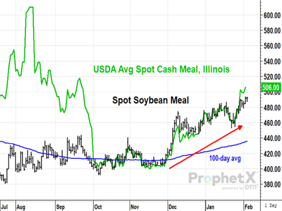 USDA&#039;s average cash price of soybean meal in Illinois closed at $506 Thursday, Feb. 2, 2023, roughly $14 above a new contract high in the March futures of $491.80. The recent return of a premium in the cash price suggests domestic meal supplies are tight and physical demand is strong, a bullish condition that could persist through summer. (DTN ProphetX chart by Todd Hultman)