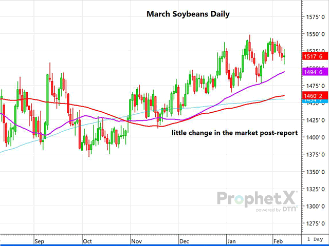 This is a daily chart of March soybeans. As you can see, there was little movement post-report, as the final numbers came close to trader expectations. (DTN ProphetX chart by Dana Mantini)