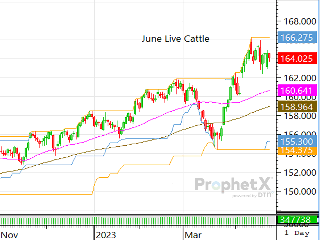 You can lose weekly market battles, but to win long-term price wars, you&#039;ve got to remain strategic. (DTN ProphetX chart by ShayLe Stewart)