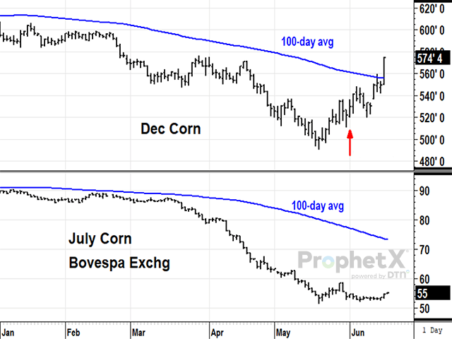 Market Perspectives – August 18, 2022 - U.S. GRAINS COUNCIL