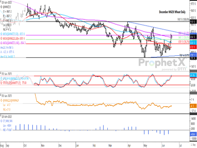 The December MGEX HRS contract breached the resistance of the contract's 100-day moving average on June 16 and has held above this level on June 20. Current trade is struggling with the 61.8% retracement line at $8.60 1/2/bu. The daily chart is seen forming a consolidation pattern, with lower highs and higher lows formed on the daily chart. (DTN ProphetX chart)