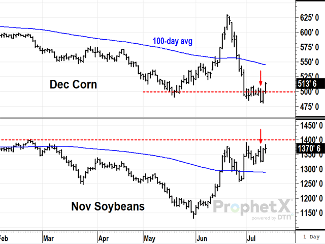 On Wednesday, July 12, both December corn and November soybeans closed lower after USDA estimated a record corn crop and higher-than-expected ending soybean stocks for 2023-24, two estimates that don&#039;t have much substance behind them. (DTN ProphetX chart by Todd Hultman) 