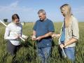 Dave Green, Wheat Quality Council executive vice president, explains the differences between spring wheat and durum to USDA employees Carlann Unger, left, and Stephanie Swinehart during Day 2 of the council&#039;s Spring Wheat and Durum Tour. (DTN photo by Jason Jenkins)