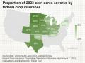 The proportion of corn production covered by federal crop insurance varies by state. (Graphic by Elaine Kub)