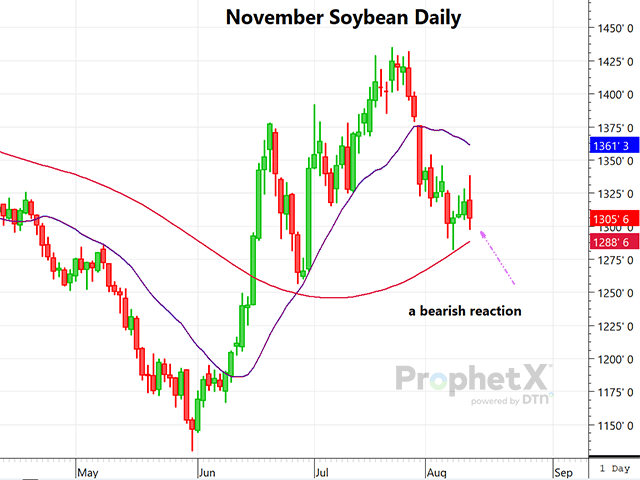 The daily chart of November beans shows the bearish reaction to the surprisingly bearish August WASDE, with November rebuffing early strength to finish lower. (DTN ProphetX chart by Dana Mantini)