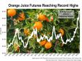 ILLUSTRATION: Orange juice futures prices have been skyrocketing to record highs in 2023. (Graphic by Elaine Kub)