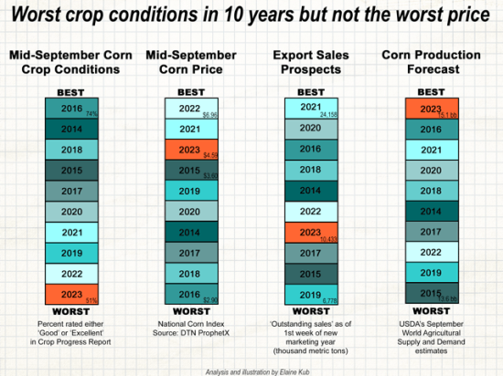 In ranked lists of the past ten years, the 2023 corn crop has the worst mid-September condition ratings but nevertheless the highest overall September WASDE production forecast. (Graphic by Elaine Kub)