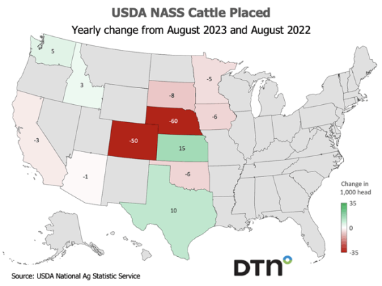 Placements in feedlots during August totaled 2.00 million head, 5% below 2022. This chart shows the yearly change in placements by state from August 2022 to August 2023. (DTN ProphetX chart)