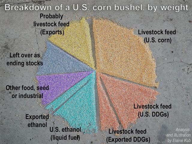 A bushel of corn is about 9.3 gallons of volume, or 56 pounds of weight, or 78,064 kernels, destined for various uses. (Illustration by Elaine Kub)