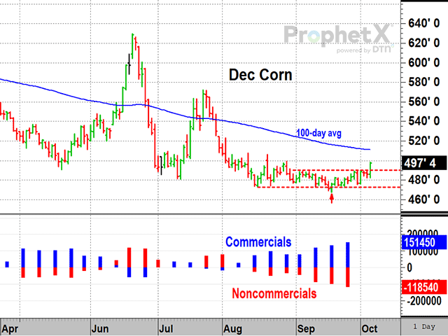 Corn stock shop price