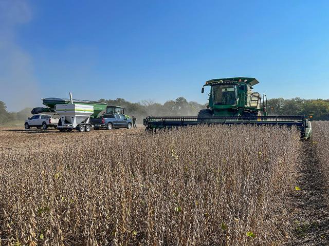 Soybean harvest is wrapping up for Zachary Grossman near Tina, Missouri. (Photo courtesy of Zachary Grossman)