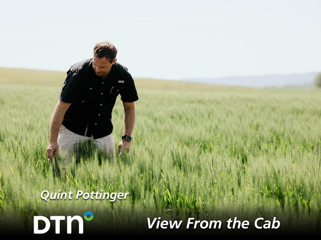 The wheat crop is looking good this spring in central Kentucky where Quint Pottinger will be reporting from this season as one of DTN&#039;s View From the Cab farmers. (Photo by Leah Pottinger)