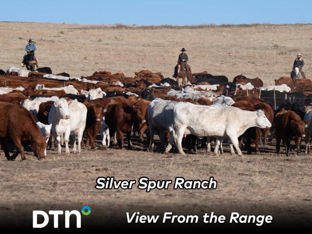 The cowboys at Silver Spur Kiowa Creek division often must communicate with some of their 8,000 neighbors due to urban sprawl. (DTN/Progressive Farmer photo by Joel Reichenberger)