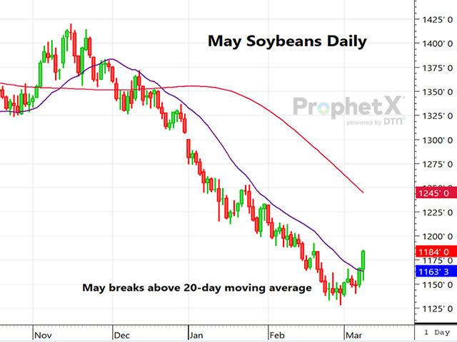 This is a daily chart of Chicago May soybeans, initially lower Friday before rallying sharply on bullish changes to China demand and likely disagreement with the lofty estimate of Brazil&#039;s soy production. (DTN ProphetX chart)