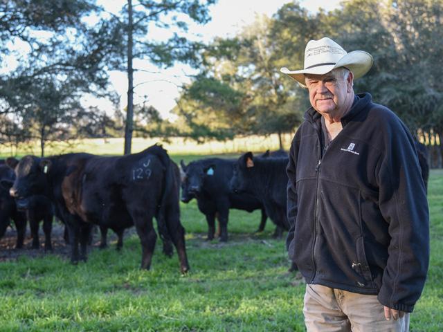 Georgia cattleman and retired USDA cattle grader Terry Harris said grading feeder cattle is important for those who are purchasing. (DTN/Progressive Farmer file photo by Becky Mills)