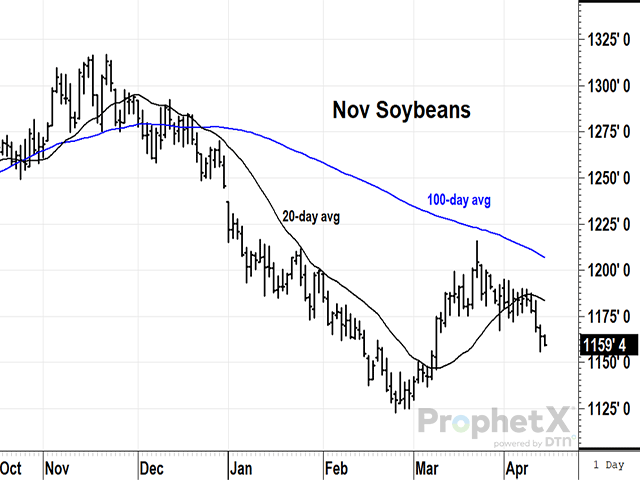 Back in November 2023, November 2024 soybean prices traded near $13 while Brazil&#039;s soybean crops were stressed by hot and dry weather. Since then, prices have fallen sharply and the crop estimates from USDA and Conab now disagree. At this late stage of harvest, do estimates matter? (DTN ProphetX chart)