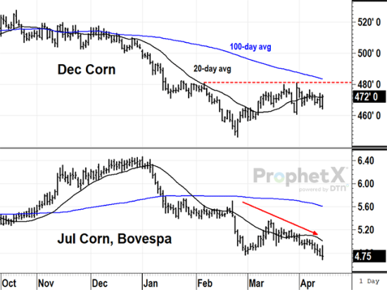 The new safrinha corn crop has had consistent rains since being planted but the forecast for central Brazil is looking drier this week, starting to transition to its dry season. Neither December corn in the U.S. nor July corn on Brazil&#039;s Bovespa exchange show signs of crop concerns yet (DTN ProphetX chart).