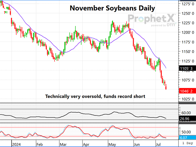 This is a daily chart of November soybeans futures, showing momentum indicators oversold. (DTN ProphetX chart)
