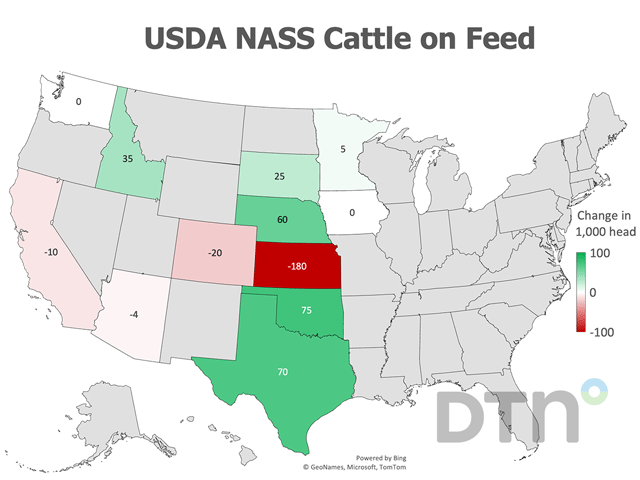 Cattle and calves on feed for the slaughter market in the United States for feedlots with capacity of 1,000 or more head totaled 11.3 million head on July 1, 2024, which is 1% above July 1, 2023, according to USDA NASS. (DTN graphic)