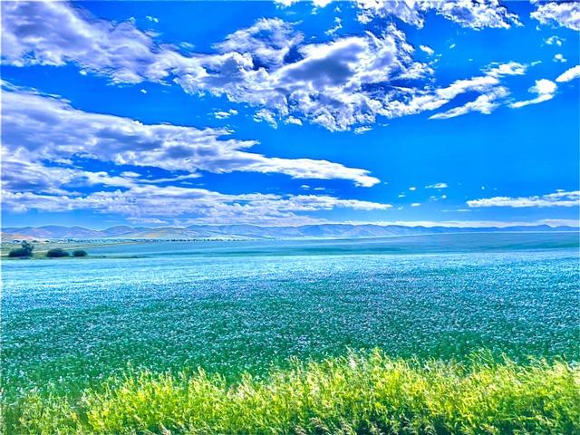 This Idaho flax field may look like a painting, but Dan Lakey is trying not to look too hard at Mother Nature&#039;s brush strokes this season. Weather has taken a toll on many of his crops. (DTN photo courtesy of Dan Lakey)