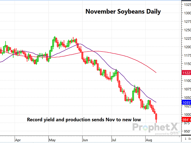 This chart is of November 2024 soybean futures showing November plunging to a new contract low following record soy yield and production estimates, sending ending stocks to the highest level in six years. (DTN ProphetX chart)