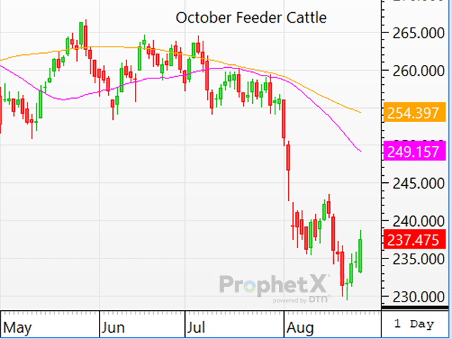 Both the live cattle and feeder cattle markets closed notably higher Monday afternoon, which was surprising following Friday's bearish Cattle on Feed report. (DTN ProphetX Chart)