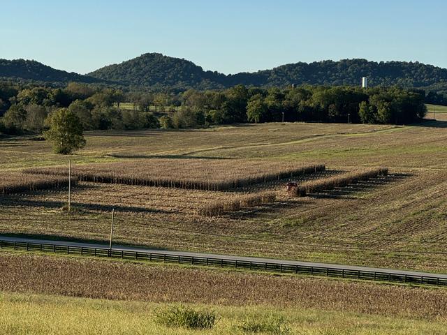 Test plots give Affinity Farms an independent view that helps form decisions for the next year. (Photo courtesy of Quint Pottinger)