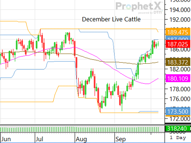 Showlists may be larger this week, but feedlot managers aren't afraid to roll those cattle over to next week if prices aren't what they desire. (DTN ProphetX chart)