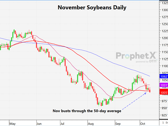 The daily November soybean chart shows November breaking below the 50-day moving average on the way to $10.00 and a lower close for the eighth time in the past ten days. (DTN ProphetX chart)