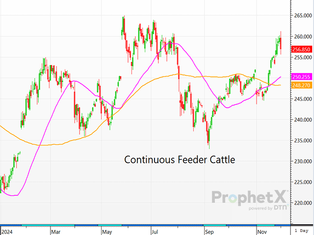 After a good start, by Monday&#039;s close the feeder cattle market had dropped anywhere from $2 to $3 lower. (DTN ProphetX chart)