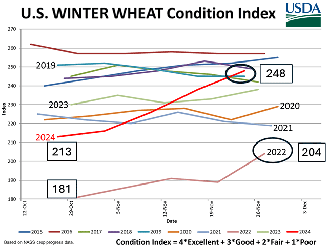 USDA&#039;s winter wheat condition index rose from 213 to 248 between late October and late November. That increase is a record for this century, even larger than a 23-point increase in 2022. (USDA graphic)