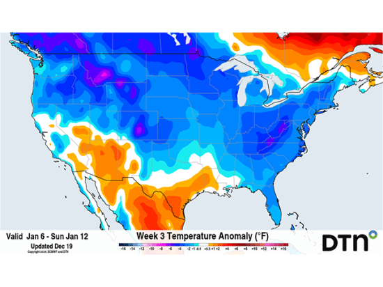 Cold, arctic air is forecast to move into the U.S. and Canada for early to mid-January. (DTN graphic)