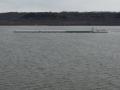 MV Neil N. Diehl crossing a wide-open, ice free, Lake Pepin on March 19, 2025, heading to Hastings, Minnesota, before continuing on to St. Paul, Minnesota, which is considered the head of navigation on the Mississippi River. (Photo courtesy of Matt Larson)