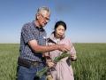 Lee Scheufler, left, a farmer from Sterling, Kansas, describes how wheat pollinates to Cindy Li with Bimbo Bakeries USA based in Zanesville, Ohio, during Day 2 of the 2025 Hard Winter Wheat Tour. The two were part of a scouting team that assessed fields along routes from Colby to Wichita, Kansas. (DTN photo by Jason Jenkins)