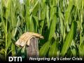 Ag employers of all types and sizes across the U.S. are struggling to find workers to fill empty work boots and gloves. (Getty Images photo)