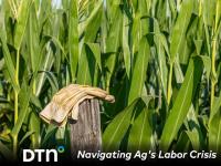 Ag employers of all types and sizes across the U.S. are struggling to find workers to fill empty work boots and gloves. (Getty Images photo)