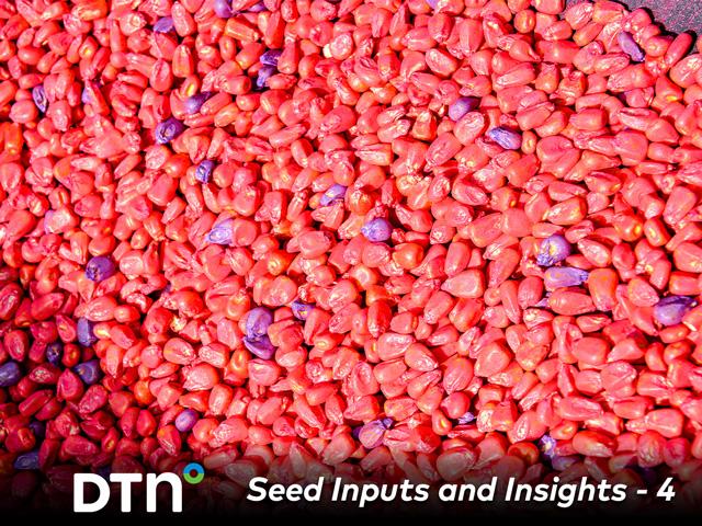Farmers can achieve seed cost savings by reevaluating seeding rates and planting only those seeds with the traits they truly need. (DTN/Progressive Farmer file photo by Bob Elbert)
