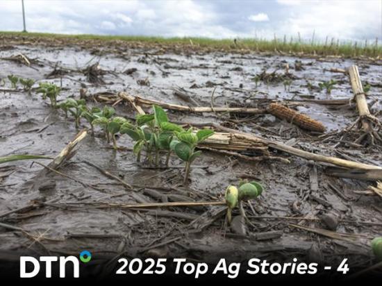 Many areas of the country benefited in early spring from an active weather pattern, though some areas saw flooding as well. (DTN file photo by Pamela Smith)