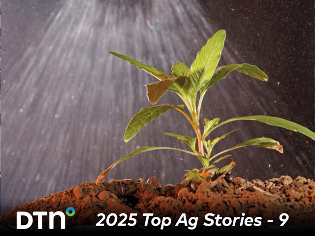 Farmers and ag organizations continue to closely watch lawsuits and government policy makers to see whether the commonly used crop-protection tool glyphosate will remain available to help control weeds. (DTN file photo)