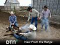 Cliff Copeland, center, brands a calf, while son, Matt, right, hands him another hot branding iron. The calf is held by Alex Schmidt, left, and Myles Nixon, right. The Copelands appreciate the help of neighbors to complete tasks like branding on their ranch. (DTN/Progressive Farmer photo by Jennifer Carrico)