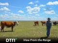 Matt Copeland, of Copeland & Sons Herefords in Nara Visa, New Mexico, looks over the first-calf heifers on their ranch. This is a group they watch closely for body condition to be sure they are raising a calf well. (DTN photo by Jennifer Carrico)