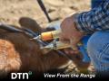 Calves receive their first round of vaccinations at Copeland & Sons Herefords at branding time. (DTN photo by Jennifer Carrico)