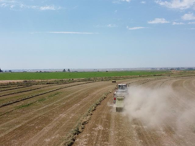 Tractor and combine sales failed to keep their collective heads above water in 2024 (DTN photo by Dan Miller) 