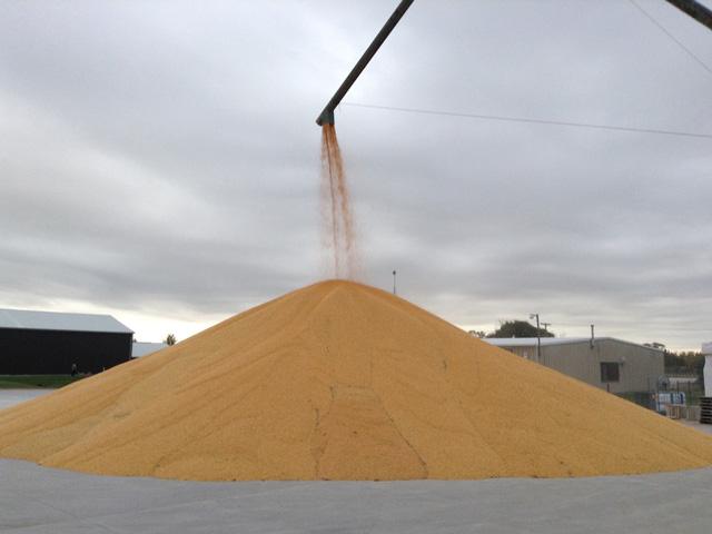 Cash grain prices continue to be volatile, although much higher than harvest. As we move ahead, there is lots going on. (DTN photo by Philip Shaw)