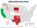 The following major feeding states all posted year-over-year declines in placements: Idaho by 9%, Oklahoma 19%, and Texas saw the biggest year-over-year drop at 23%. (DTN chart)